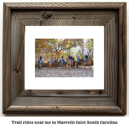 trail rides near me in Murrells Inlet, South Carolina